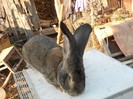 DSCN0472