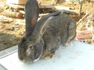 DSCN0473
