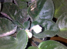 23102012621
