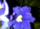 23102012625