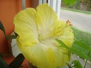 foto 223