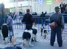 21 oct 2012-flori 032