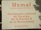 DSCF4115