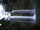 DSCF4001