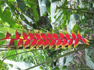 DSCF4018