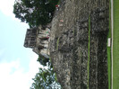 DSCF4046