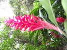 DSCF4055