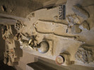 DSCF3336