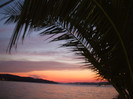 DSCF9631