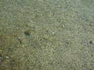 DSCF9636