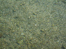 DSCF9637