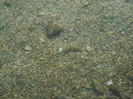 DSCF9638