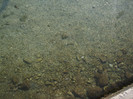 DSCF9639