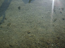 DSCF9640