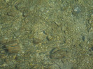 DSCF9641
