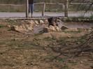DSCF9663