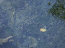 DSCF9670