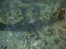 DSCF9677