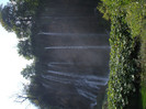 DSCF9687
