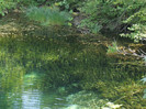 DSCF9692