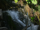 DSCF9695