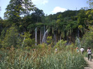 DSCF9696