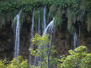 DSCF9697