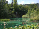 DSCF9704