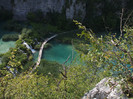 DSCF9721
