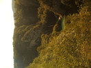DSCF9731