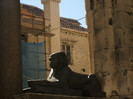 DSCF9768