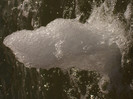 DSCF4378