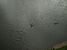 DSCF4472