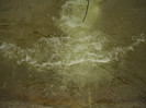 DSCF4485