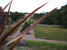 DSCF4355