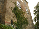 DSCF4438