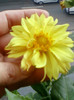 26 oct 2012-flori 028