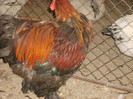 S6001581