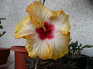 P1080475