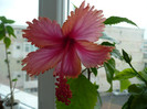 P1080501