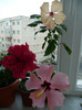 P1080503