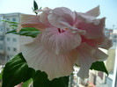 P1080617