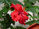 P1080647