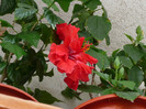 P1080669