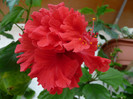 P1080672