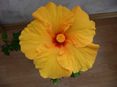 P1080752