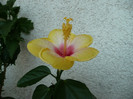 P1080893