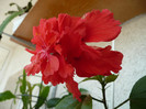 P1090066