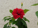 P1090097