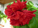 P1100074